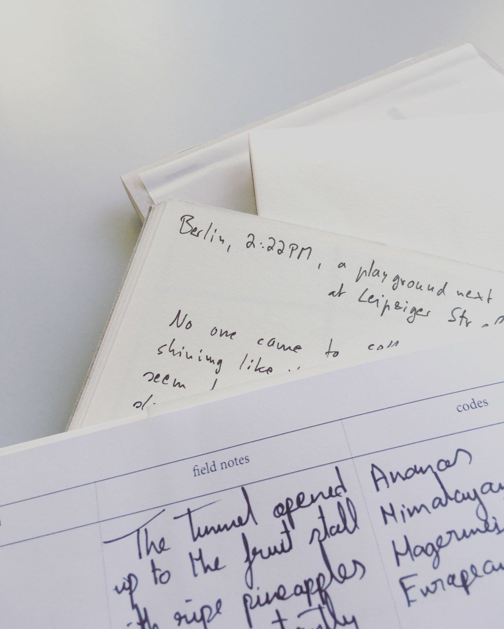 Methods Approach: Mapping & Field Note&nbsp;Writing